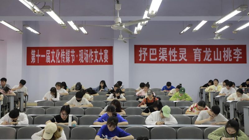 三维动画软件正版授权，价格之外的关键考量**